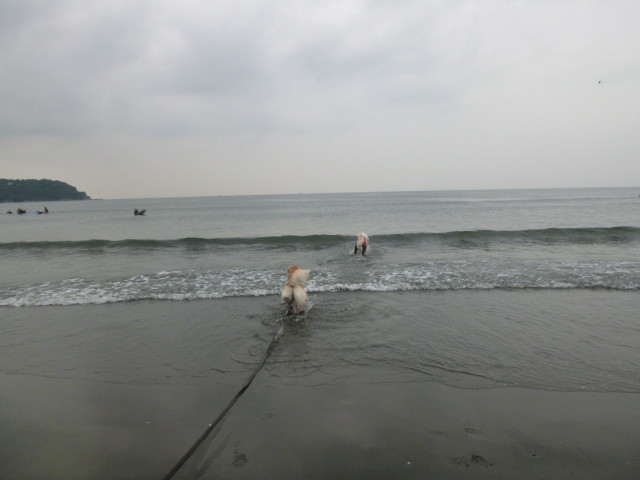 ファイル 5235-4.jpg