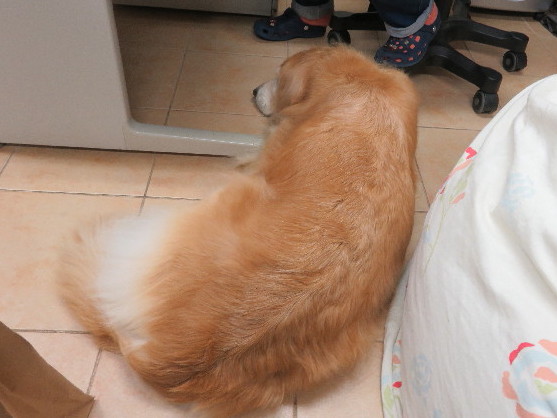 ファイル 5237-2.jpg