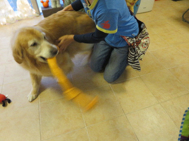 ファイル 5237-4.jpg