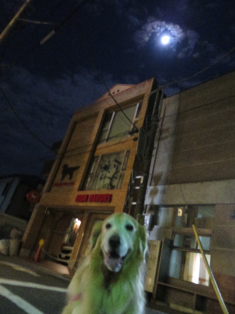 ファイル 5241-2.jpg