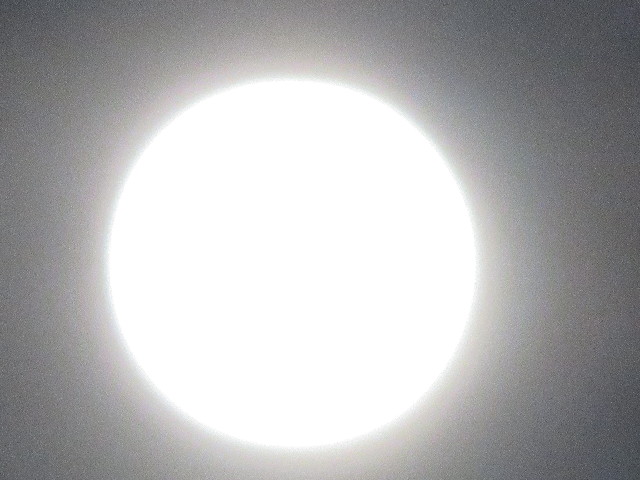 ファイル 5241-3.jpg