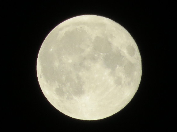 ファイル 5241-4.jpg