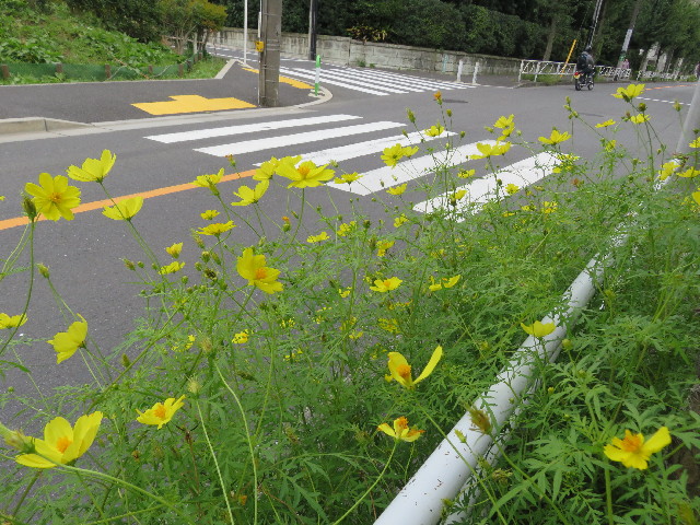 ファイル 5246-5.jpg