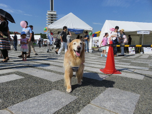 ファイル 5248-1.jpg