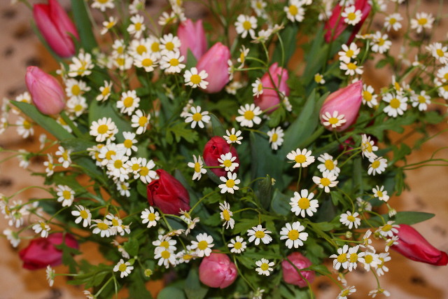 ファイル 525-1.jpg