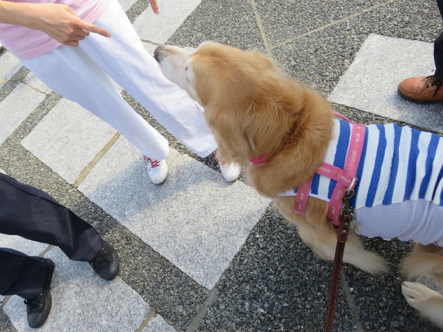 ファイル 5250-4.jpg