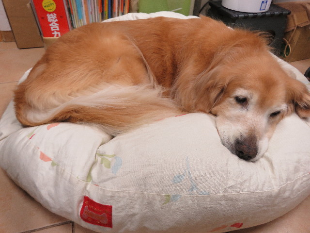 ファイル 5253-3.jpg