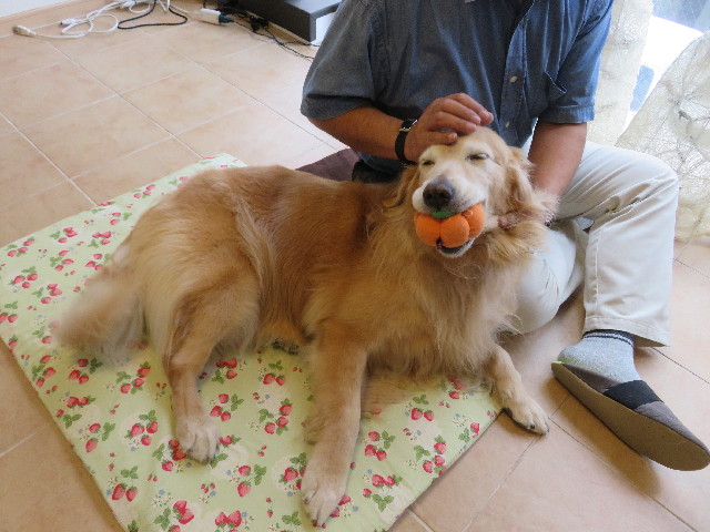 ファイル 5253-5.jpg