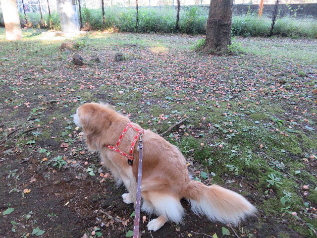 ファイル 5255-1.jpg