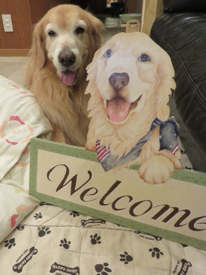 ファイル 5255-5.jpg