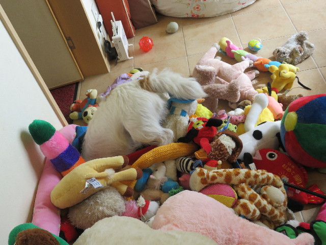 ファイル 5256-2.jpg