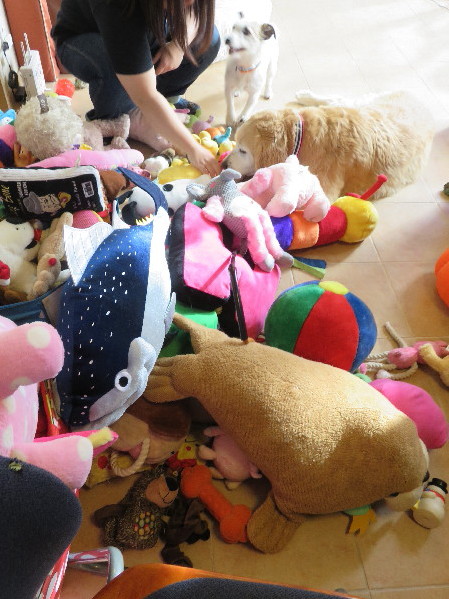 ファイル 5256-4.jpg