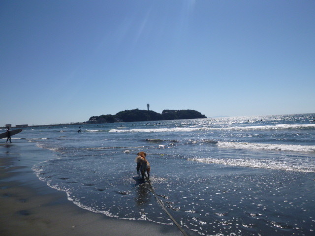 ファイル 5257-2.jpg