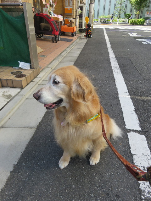 ファイル 5258-2.jpg