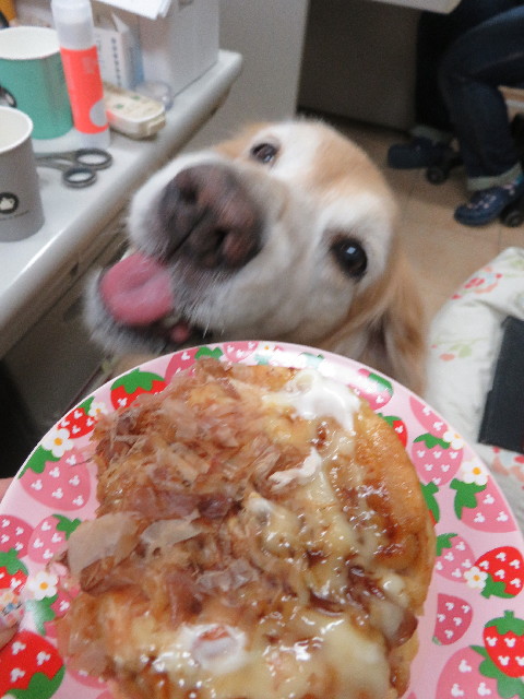 ファイル 5262-2.jpg