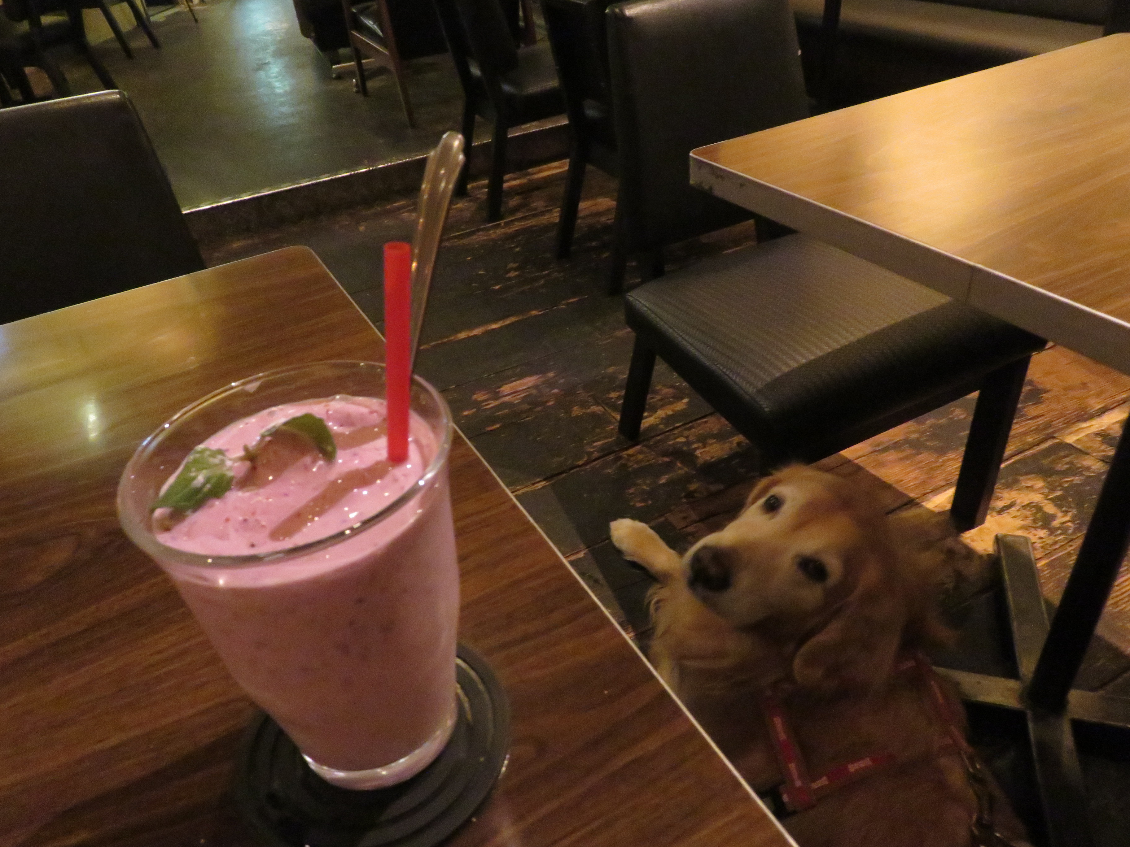 ファイル 5262-5.jpg