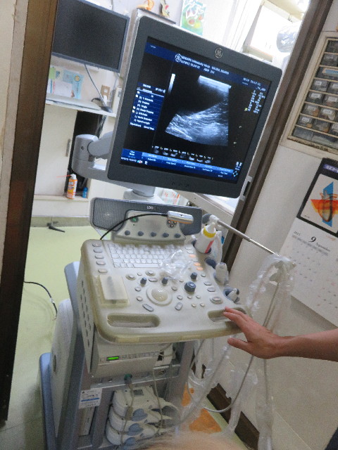 ファイル 5263-2.jpg