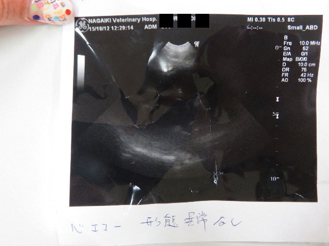 ファイル 5263-5.jpg