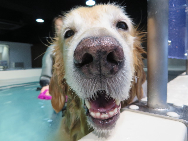 ファイル 5265-3.jpg