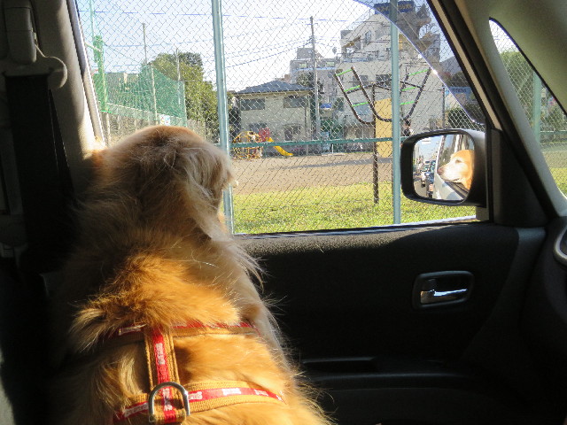 ファイル 5268-1.jpg