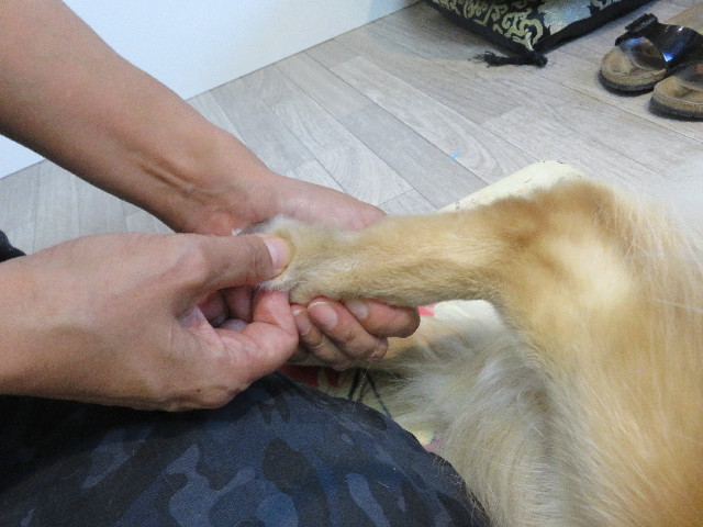 ファイル 5268-2.jpg