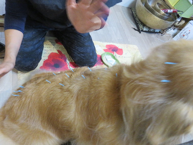 ファイル 5268-4.jpg