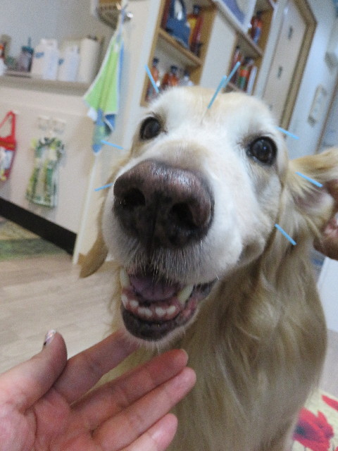 ファイル 5268-5.jpg