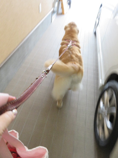 ファイル 5269-3.jpg