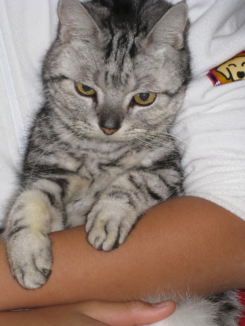 ファイル 527-2.jpg