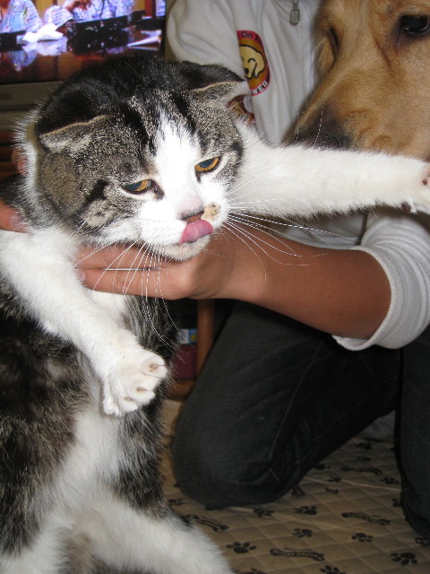 ファイル 527-3.jpg