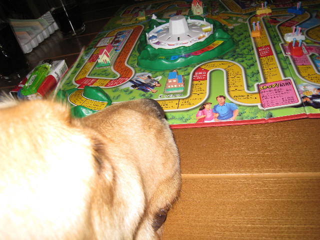 ファイル 527-5.jpg