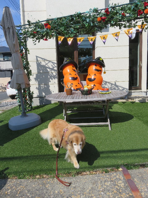 ファイル 5270-1.jpg