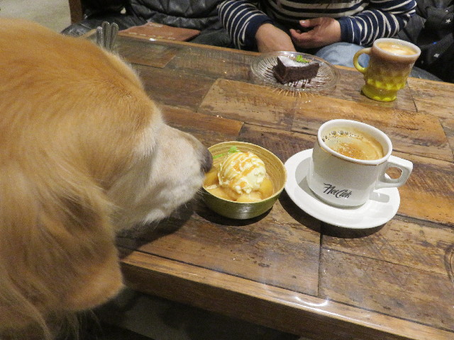 ファイル 5270-4.jpg