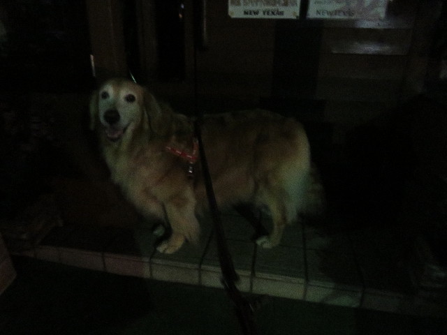 ファイル 5270-5.jpg