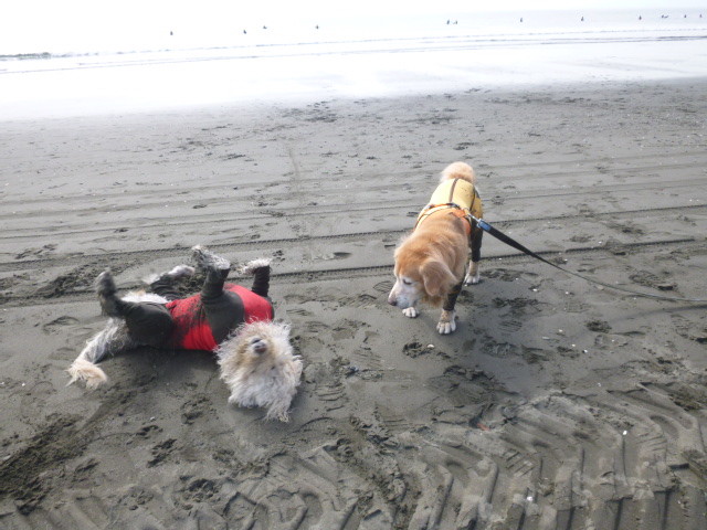 ファイル 5271-5.jpg