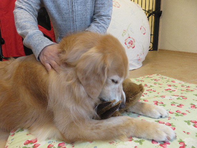 ファイル 5272-4.jpg