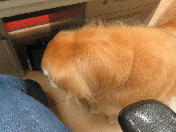 ファイル 5272-5.jpg