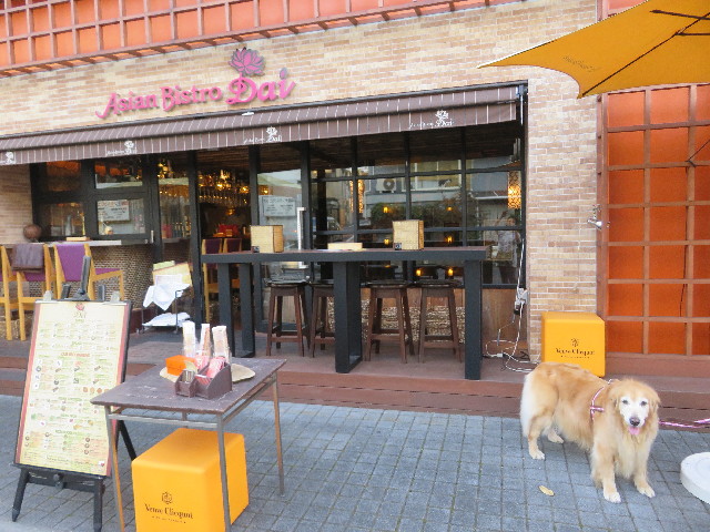 ファイル 5276-1.jpg