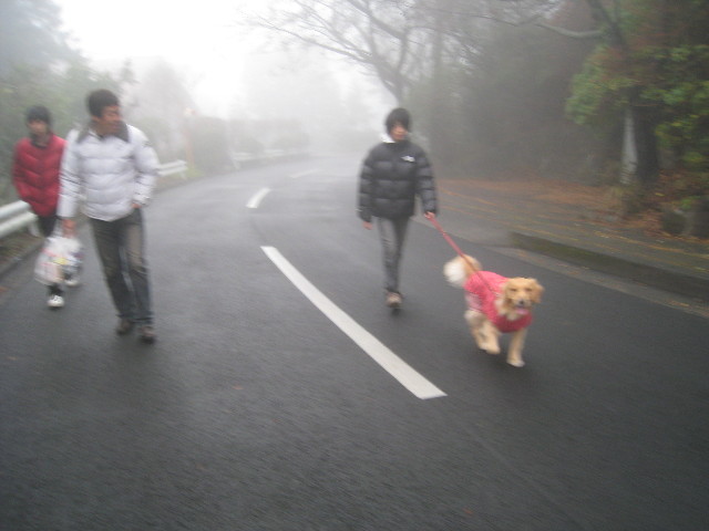 ファイル 528-2.jpg