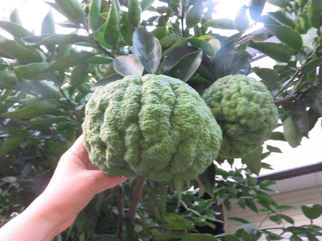 ファイル 5280-3.jpg