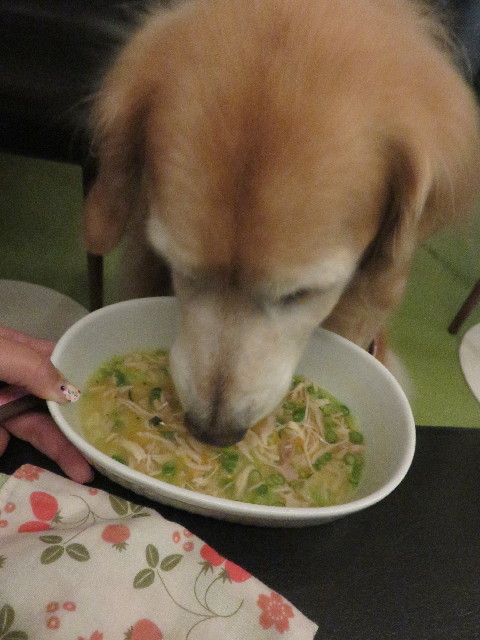 ファイル 5280-5.jpg