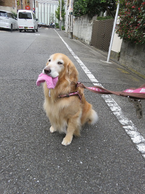 ファイル 5283-1.jpg