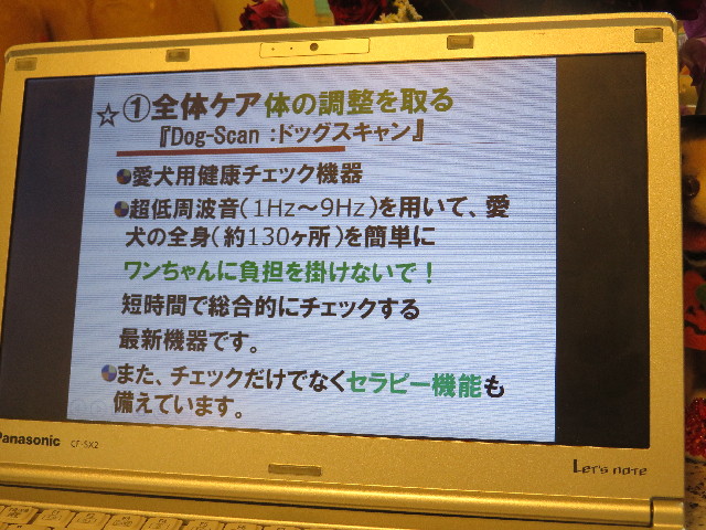 ファイル 5284-2.jpg