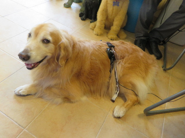 ファイル 5284-3.jpg