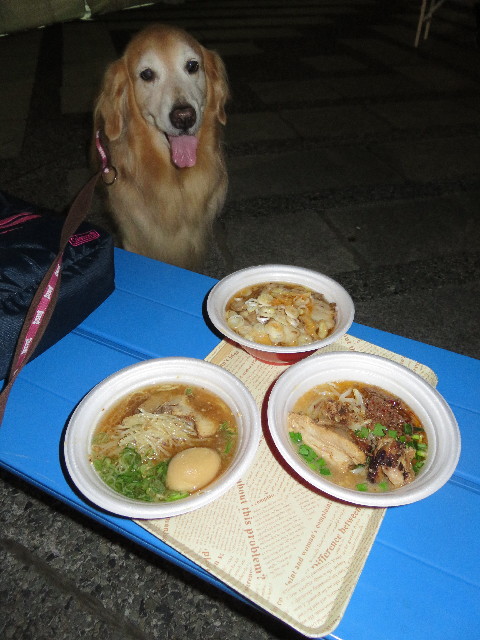 ファイル 5285-1.jpg