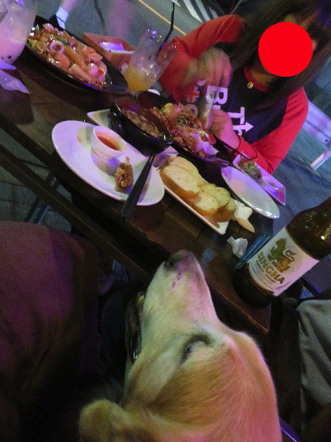 ファイル 5285-5.jpg