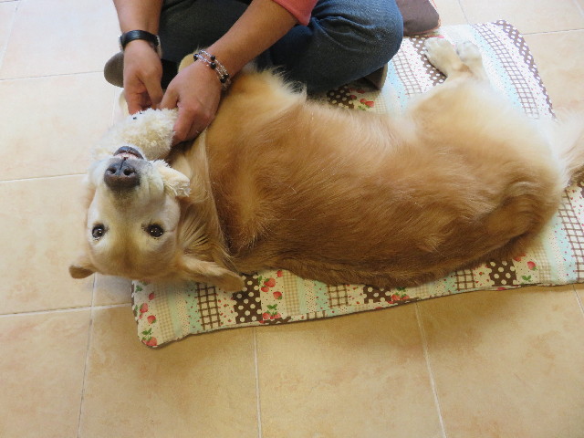 ファイル 5286-3.jpg