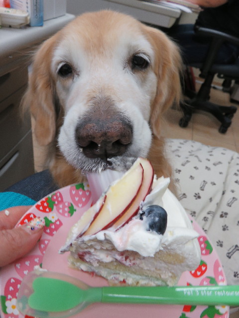 ファイル 5286-4.jpg