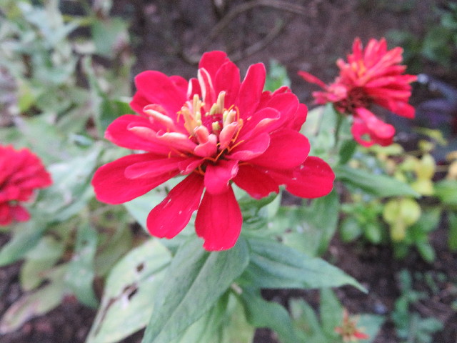 ファイル 5287-2.jpg