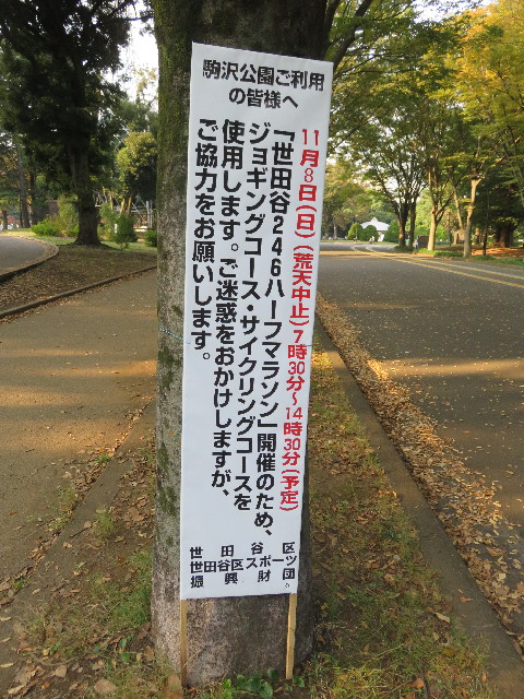 ファイル 5288-5.jpg